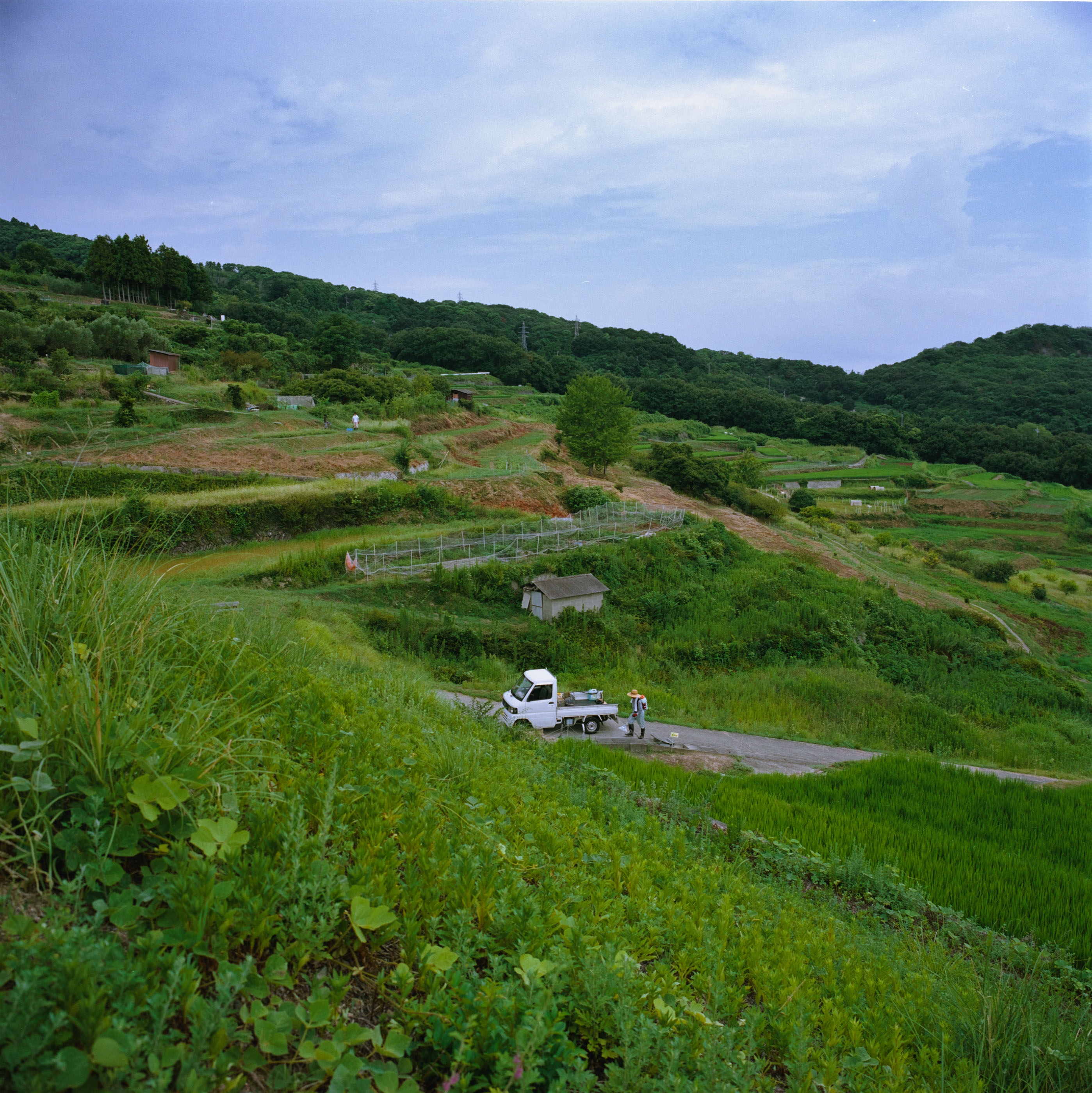 Terraced fields on a green hillside, a farmer in a straw hat at his small truck on the lane below