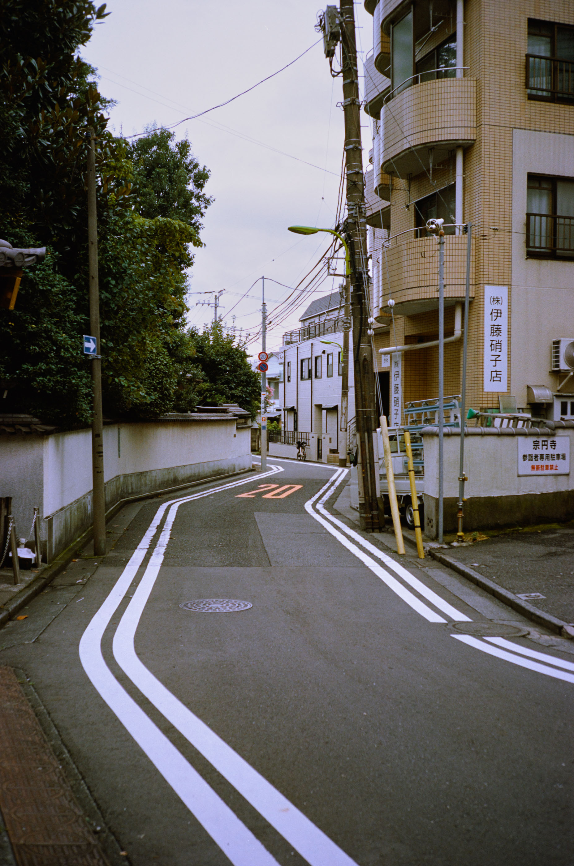 Quiet residential side street with winding double white lines and a 20 km/h marking on the asphalt
