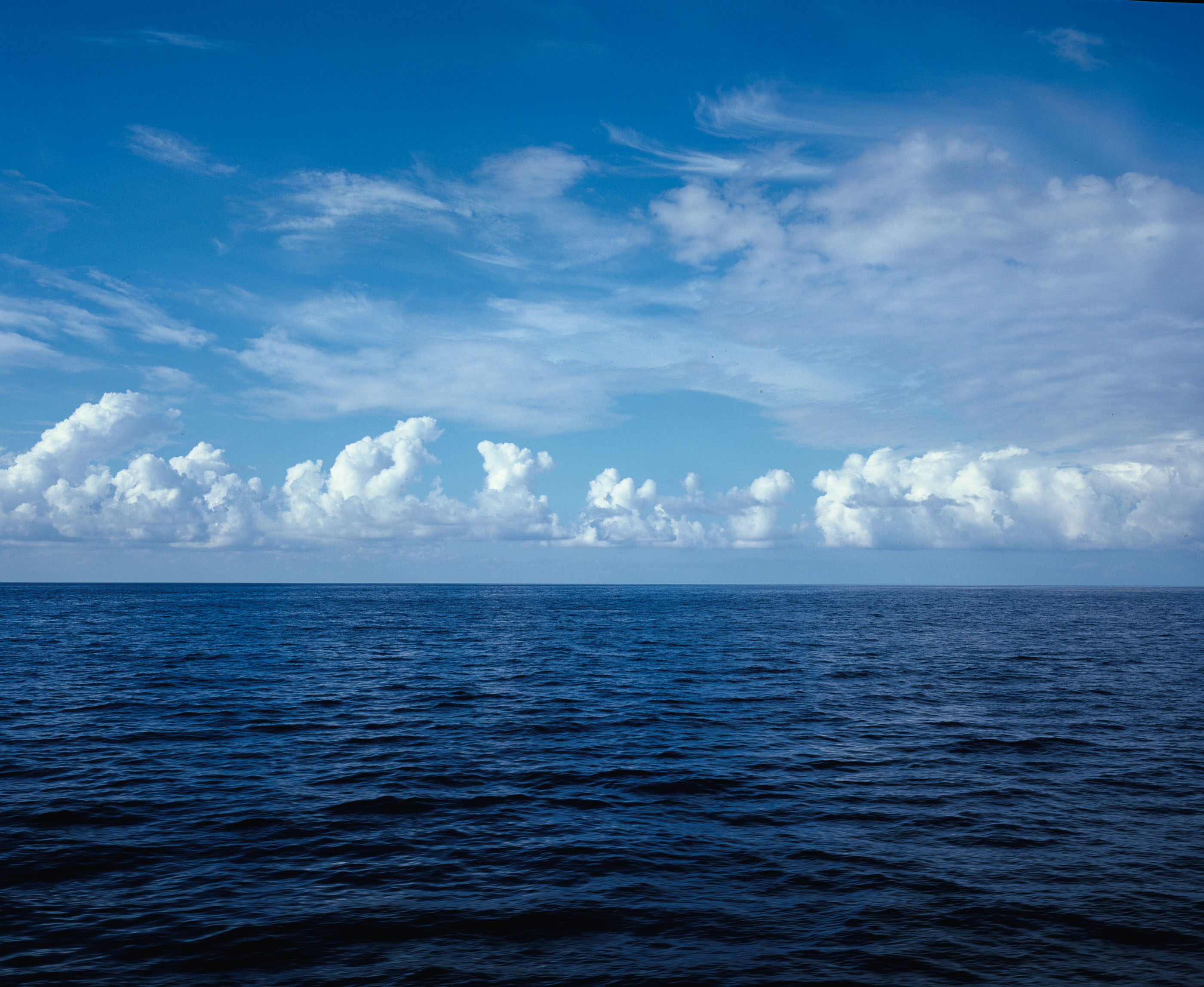 Open sea under a line of cumulus clouds on the horizon