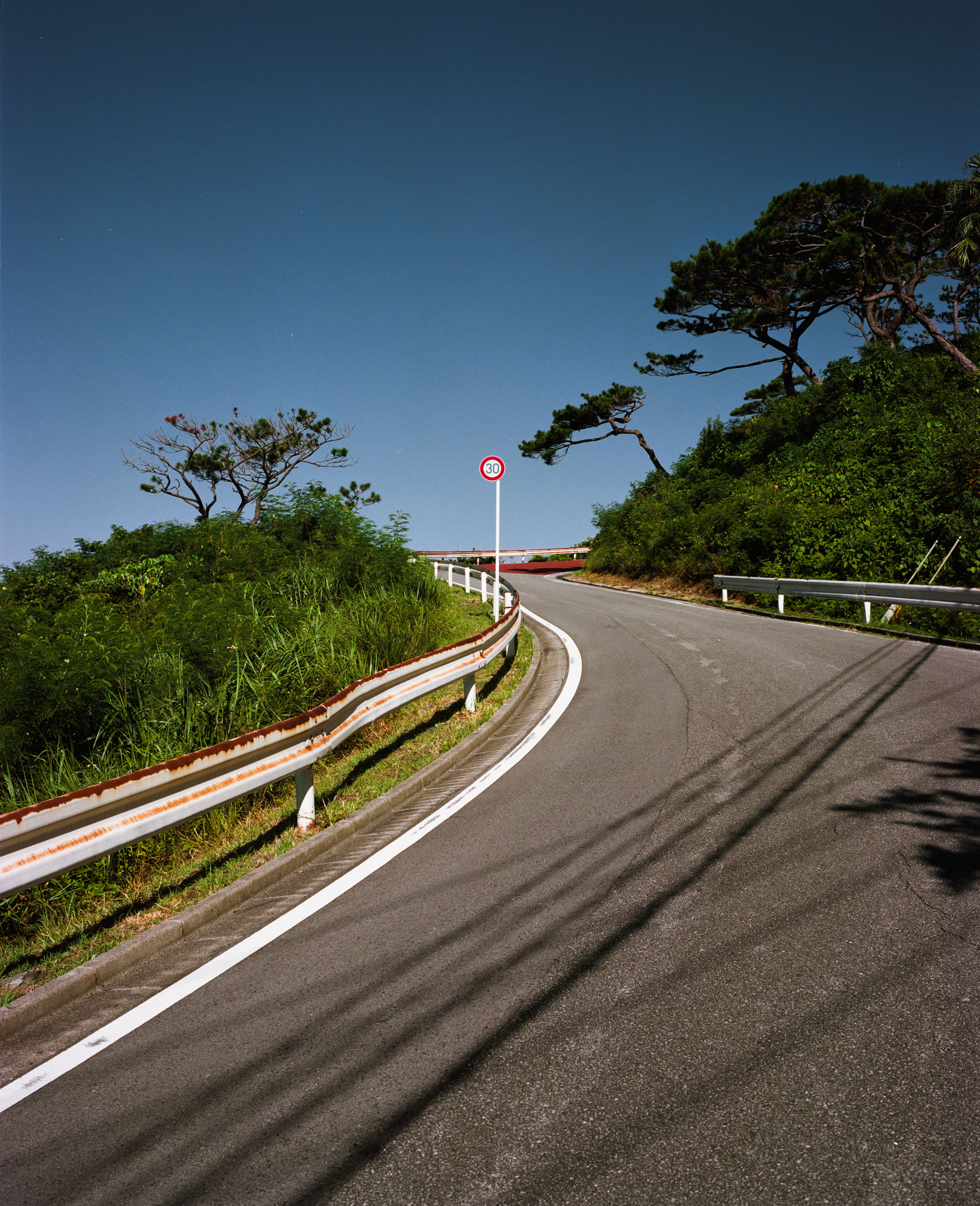 Empty coastal road curving uphill past windswept pines, a 30 km/h sign at the bend