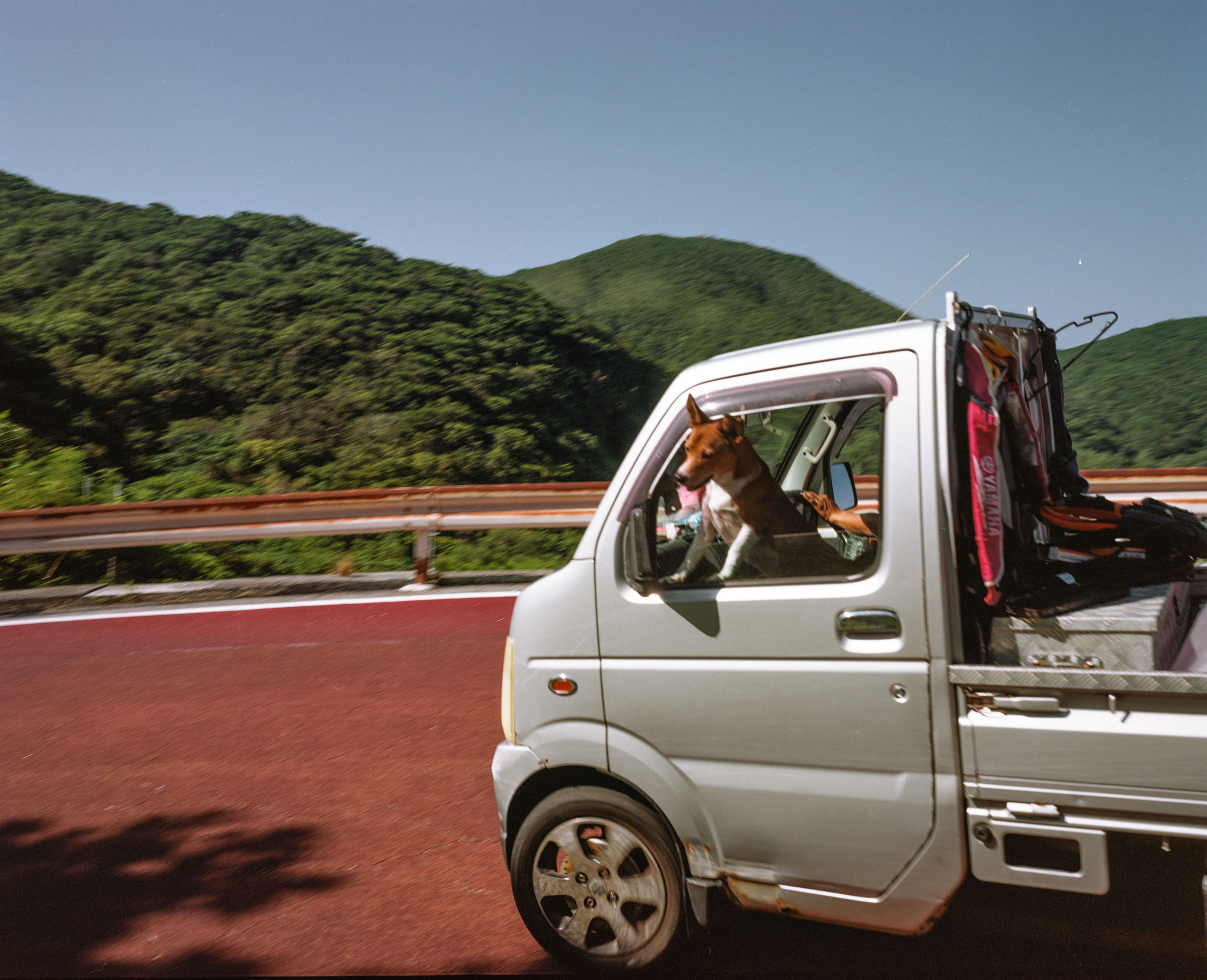 Dog leaning out of the window of a small truck on a mountain road