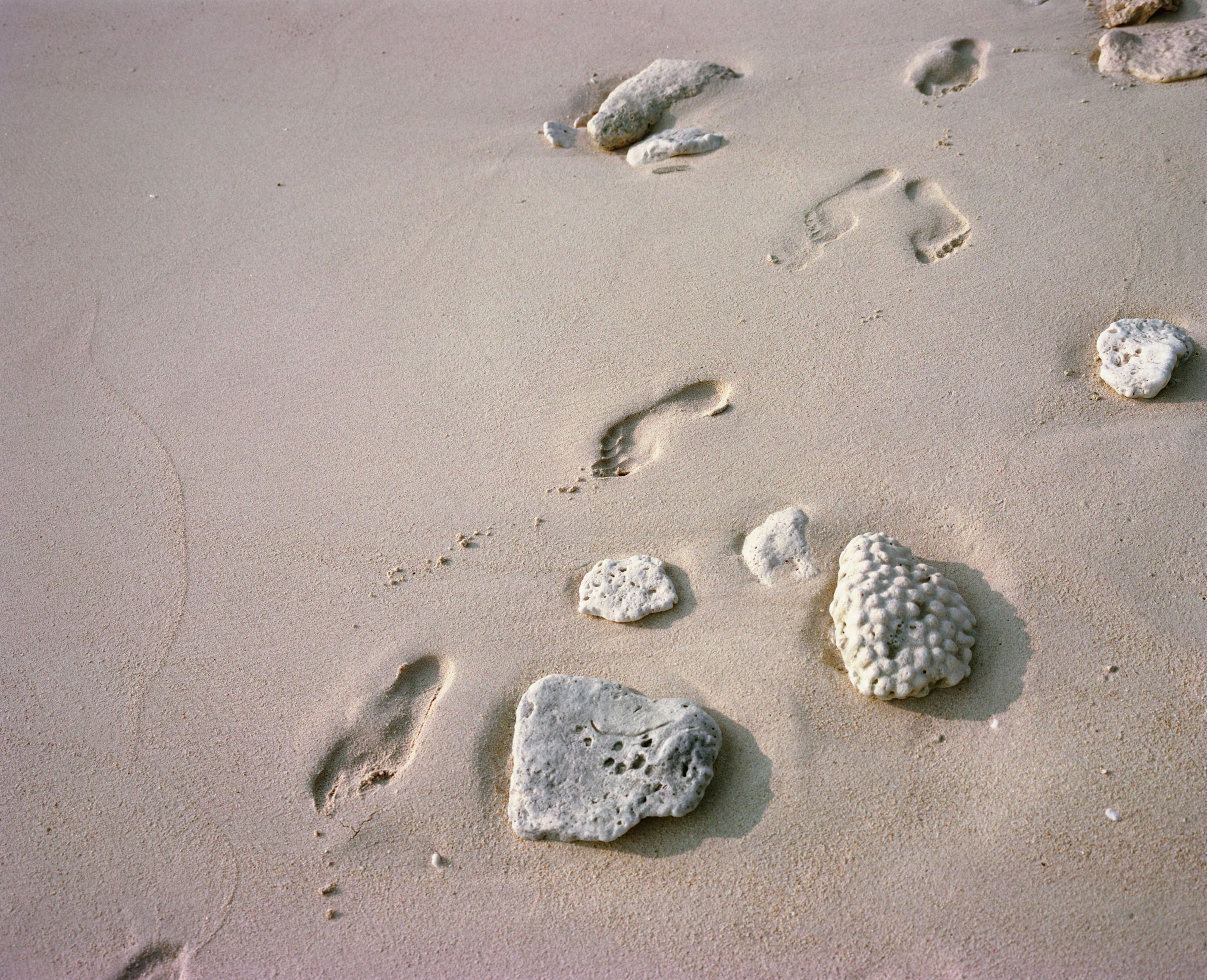 Footprints crossing pale sand between bleached coral fragments
